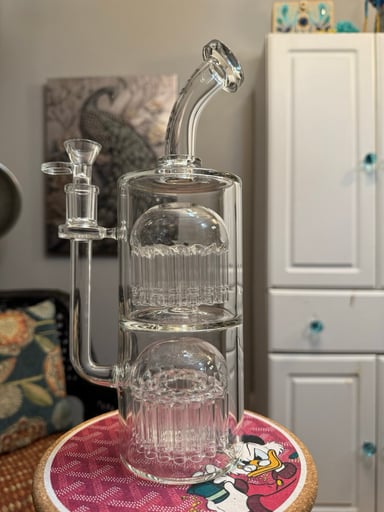 Preview pic of 60 Arm King Jellyfish