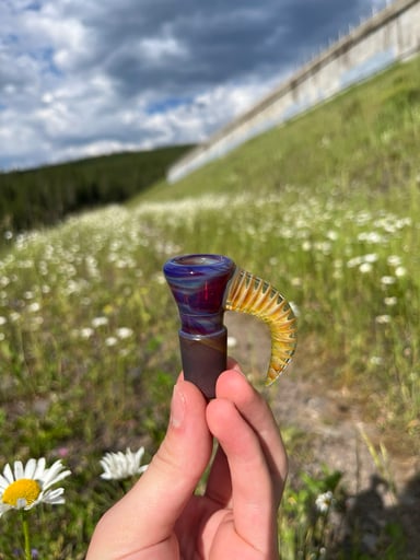 Preview pic of AP Full Color Shamby