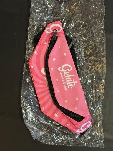 Preview pic of Vape Fanny pack
