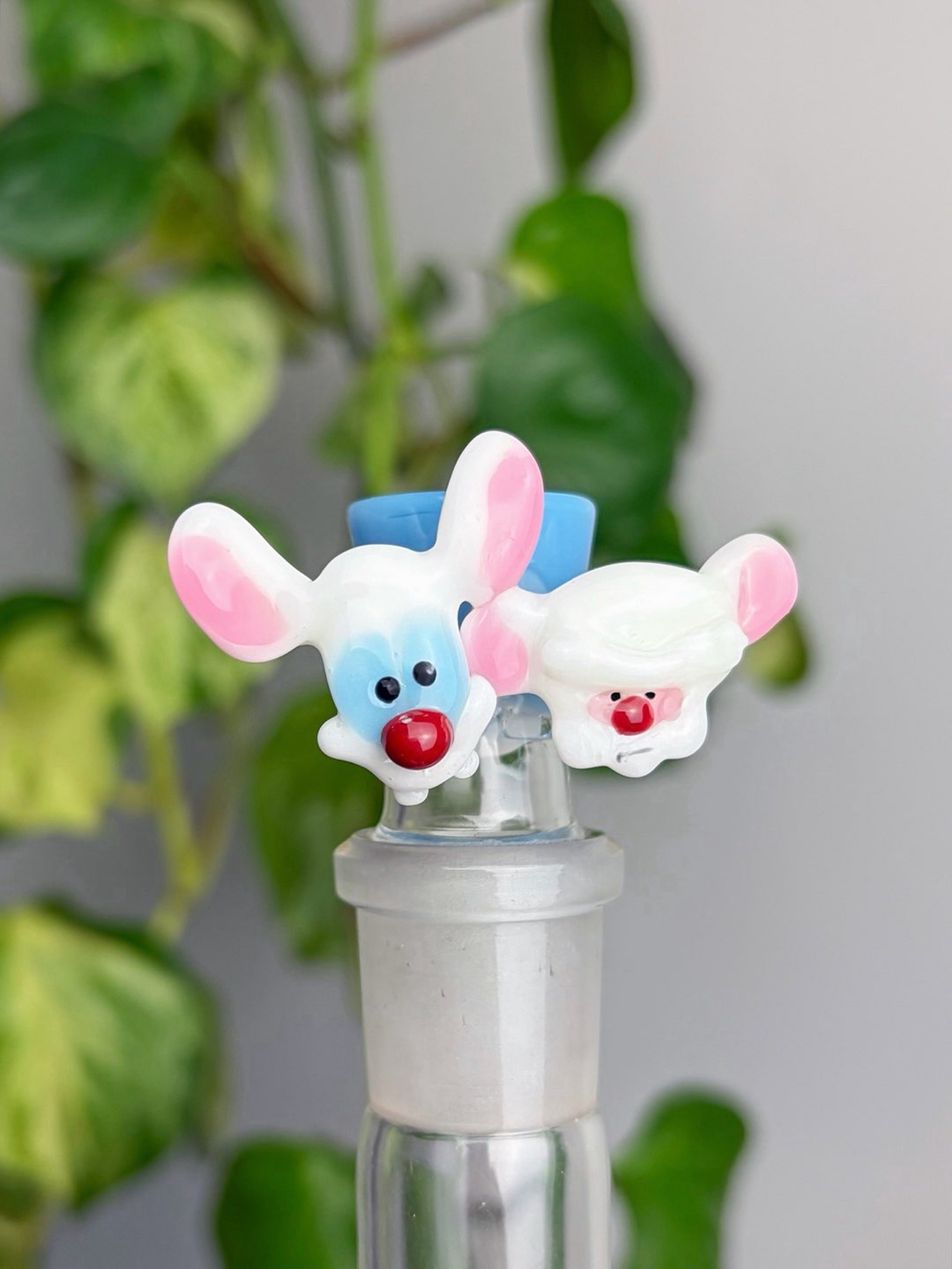 Pinky & the Brain 🧠🐁 image 0