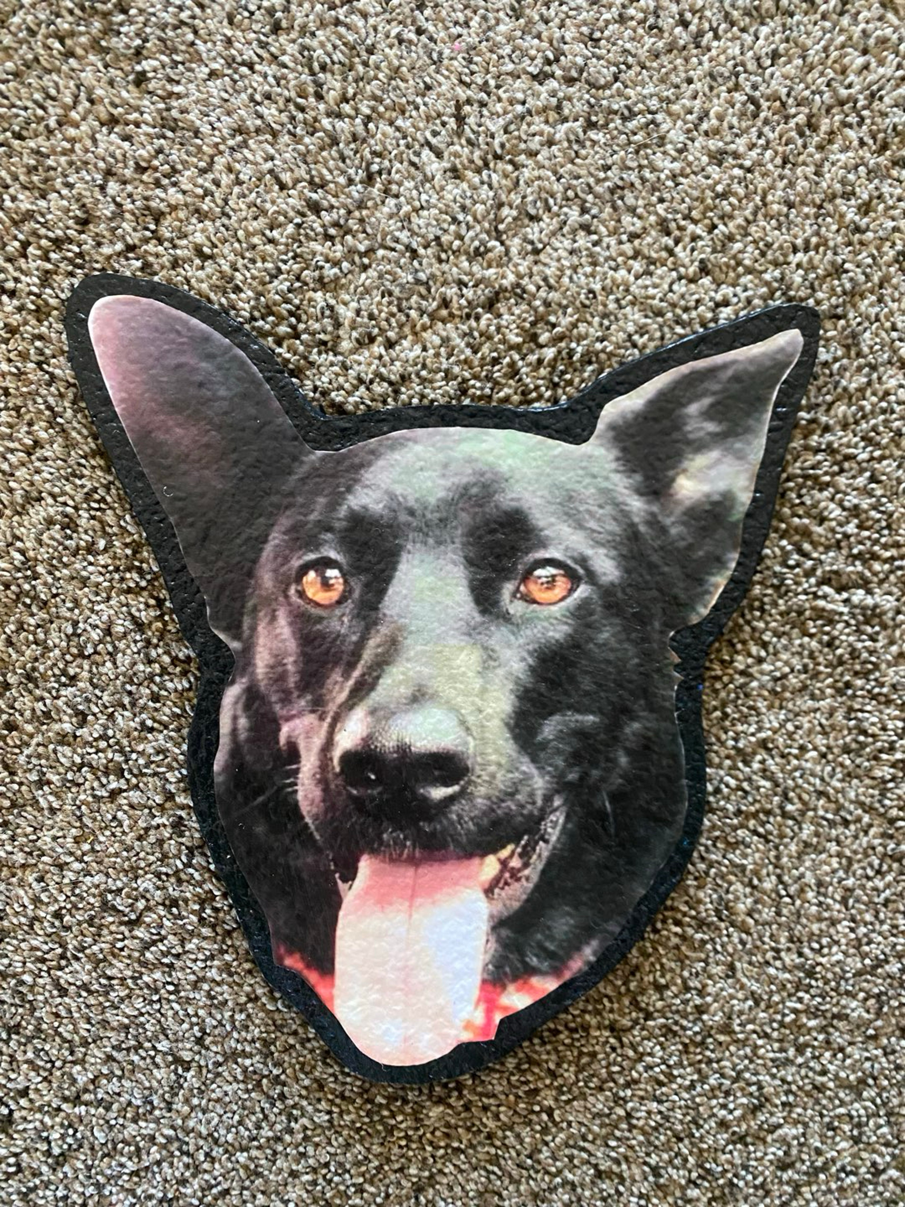 Custom made dog/pet moodmat image 0