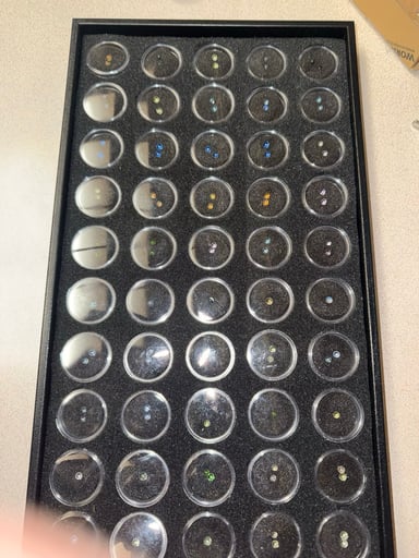 Preview pic of 2026 Jebb Terp Pearls Assorted Colors