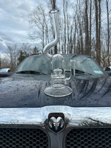 Preview pic of Sovereignty Natty Neck Downgrid Stem To Imp