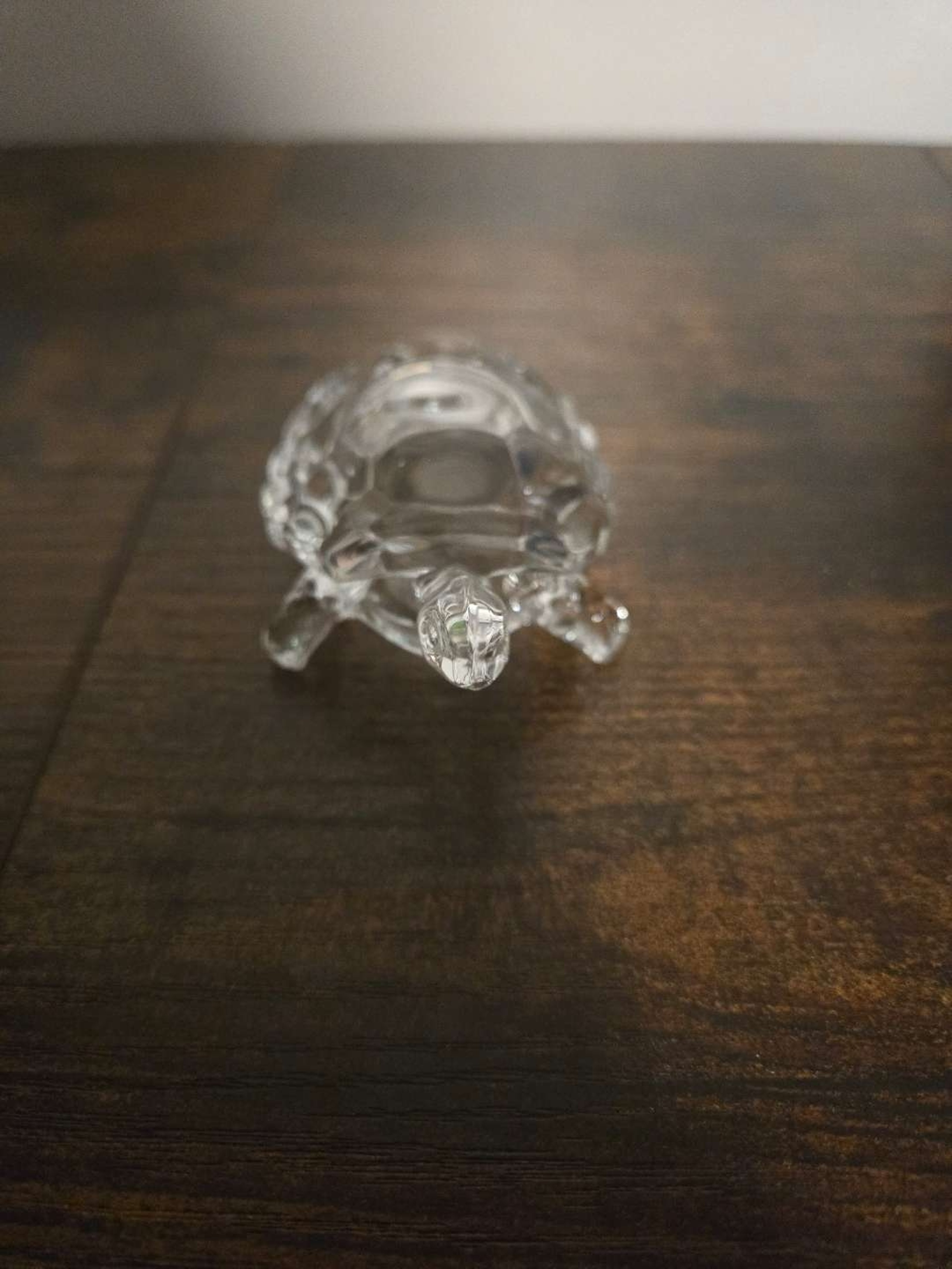 Glass Turtle image 0