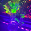 Small image 4