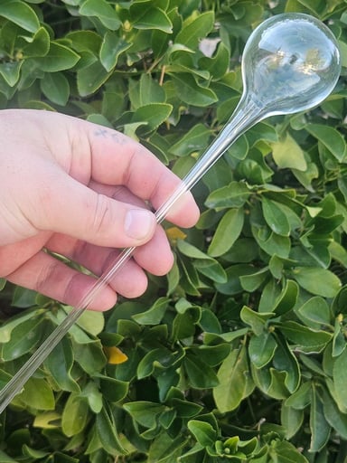 Preview pic of **Dewdrop** 🌿