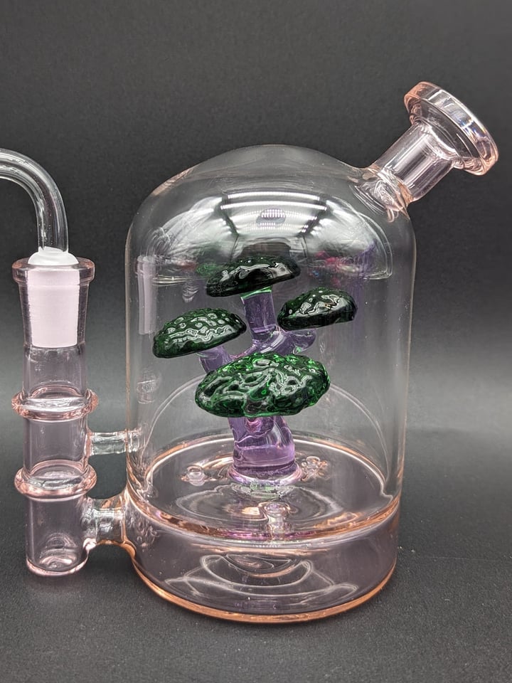 BONSAI TREE BLOOPER DAB RIG | Shop Dab Rigs on GlassPass