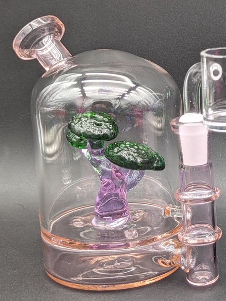 BONSAI TREE BLOOPER DAB RIG | Shop Dab Rigs on GlassPass
