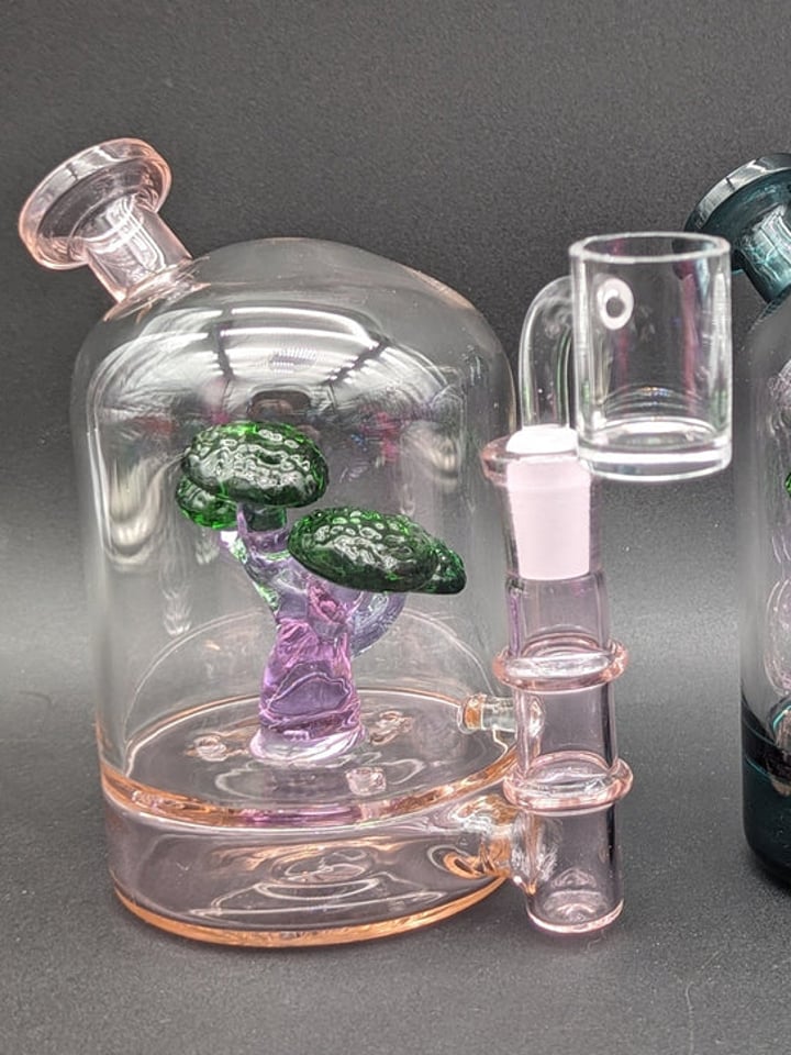 BONSAI TREE BLOOPER DAB RIG | Shop Dab Rigs on GlassPass