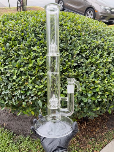 Preview pic of Bishop Imperial with reduction band