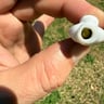 Small image 5