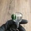 Small image 6