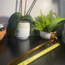 Small image 5