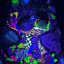 Small image 6