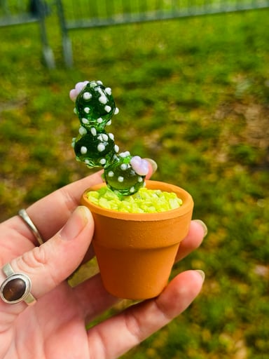 Preview pic of Glass cactus plant with ceramic pot