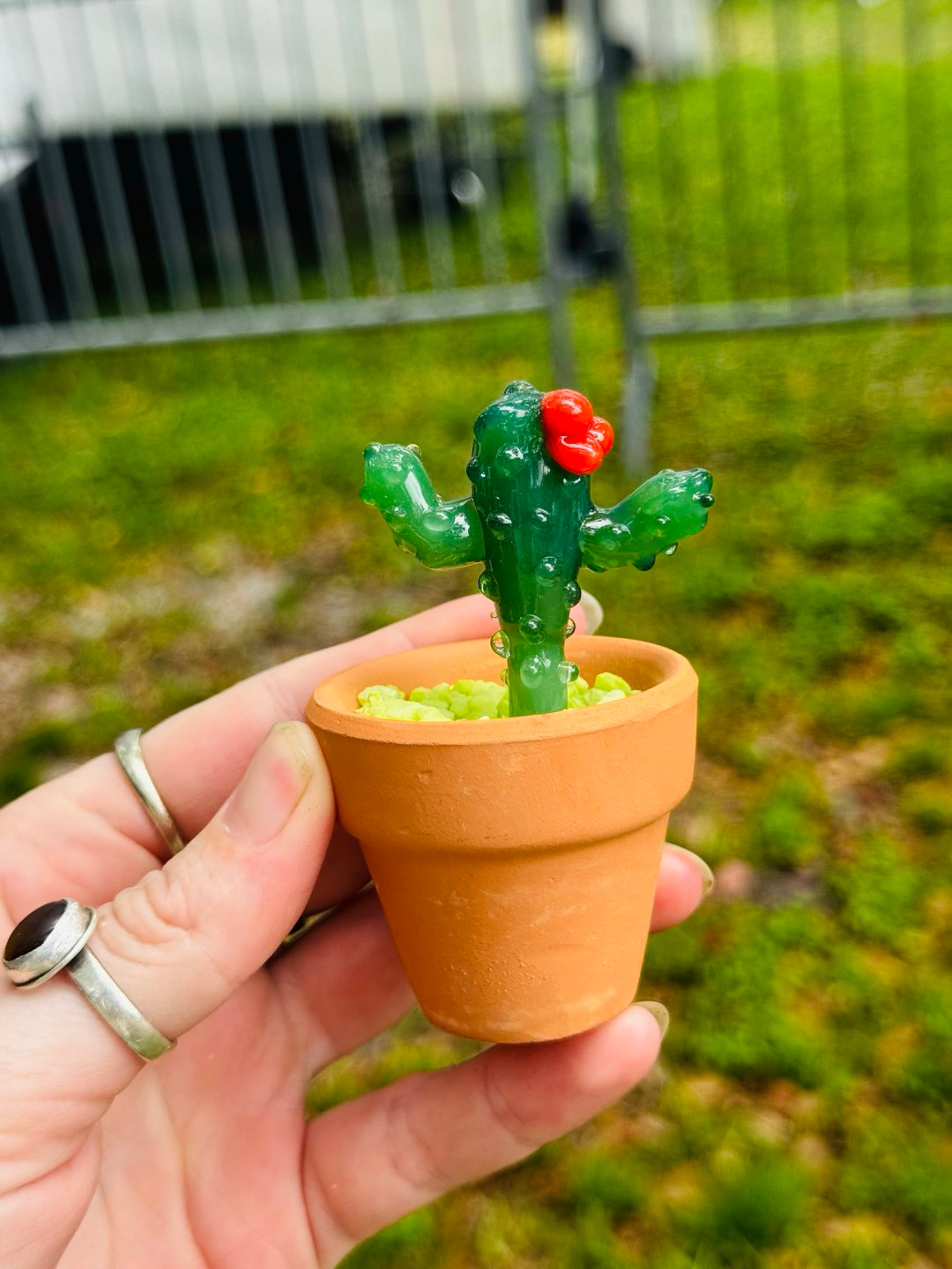 Preview pic of Glass cactus plant with ceramic pot