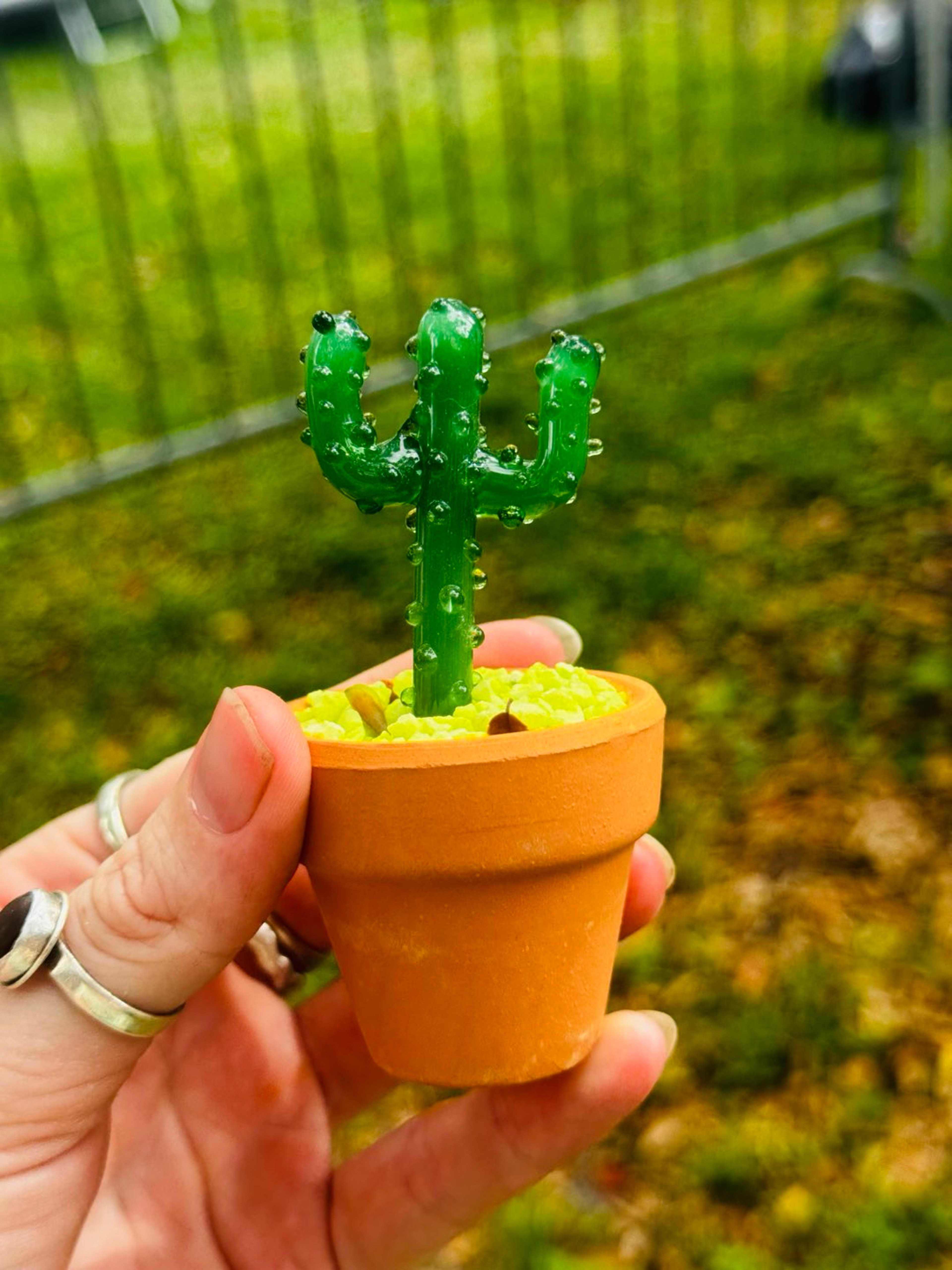 Preview pic of Glass cactus plant with ceramic pot