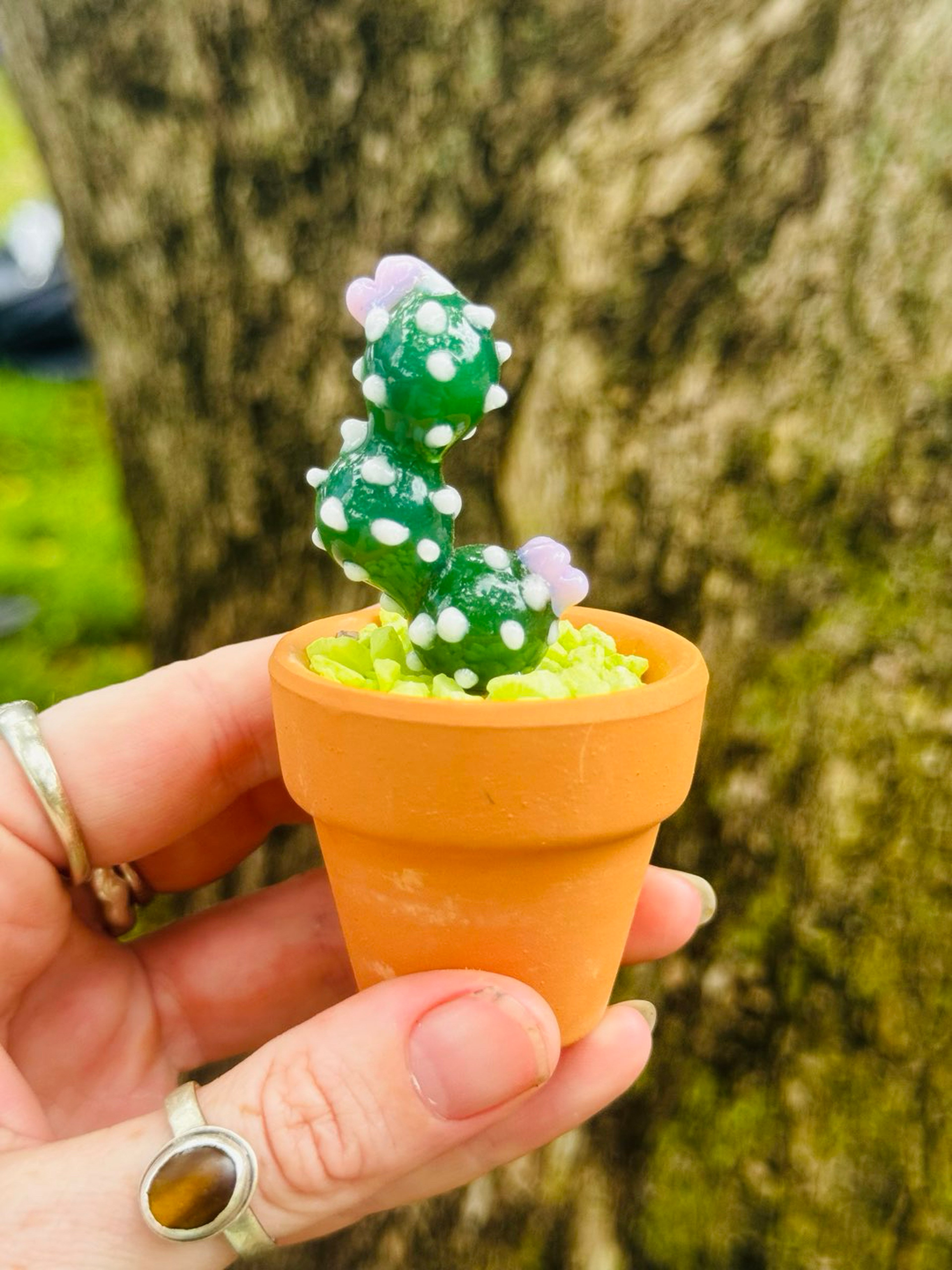 Preview pic of Glass cactus plant with ceramic pot