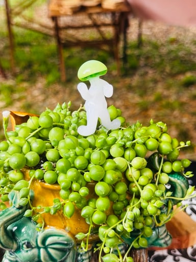 Preview pic of Dancing funguy plant stake (plant not included)