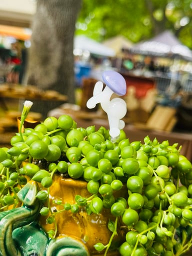 Preview pic of Dancing funguy plant stake (plant not included)