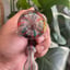 Small image 7