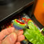 Small image 5