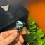 Small image 6