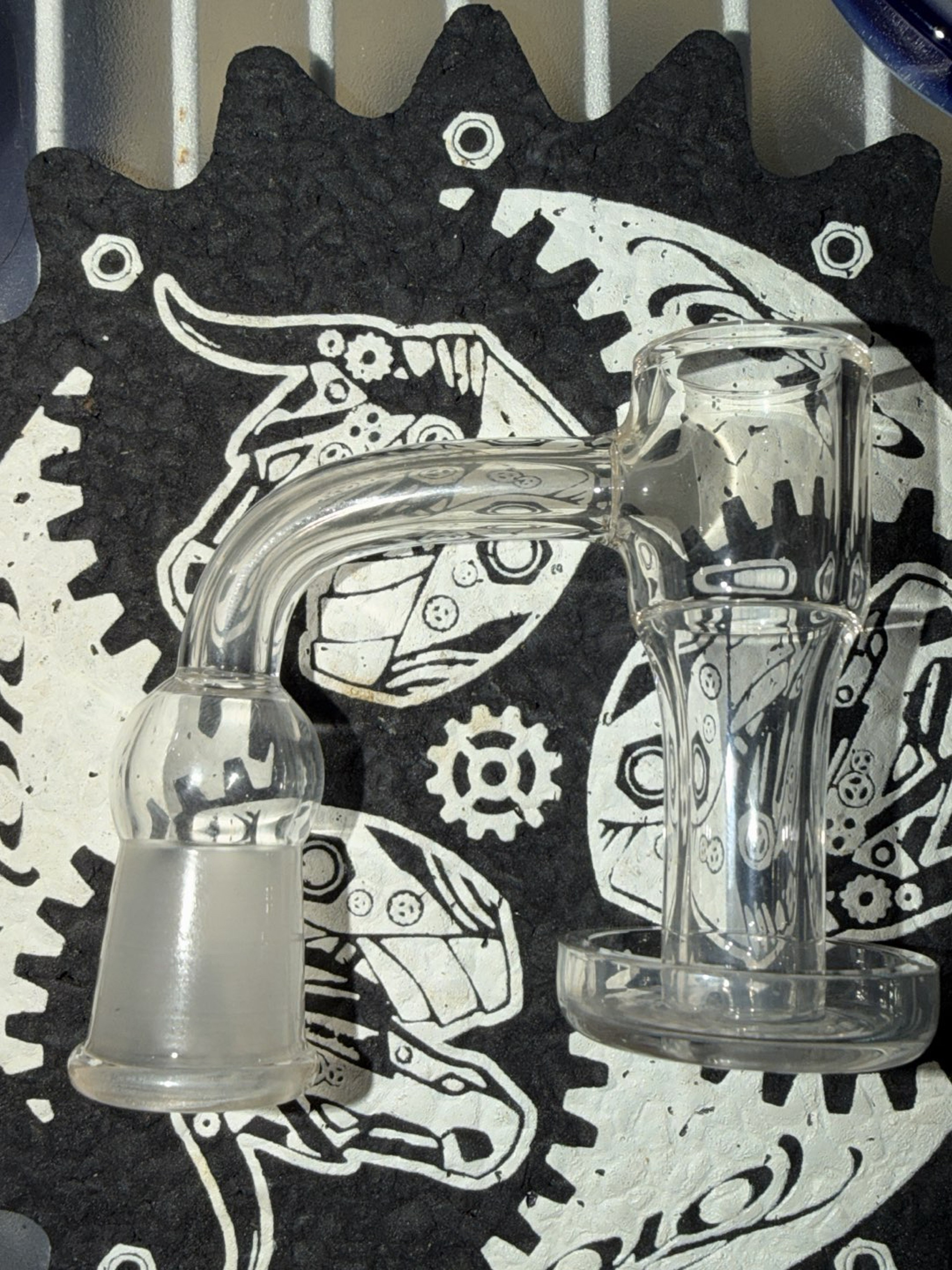 Preview pic of Female Toro Vortex