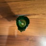 Small image 2