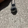 Small image 6