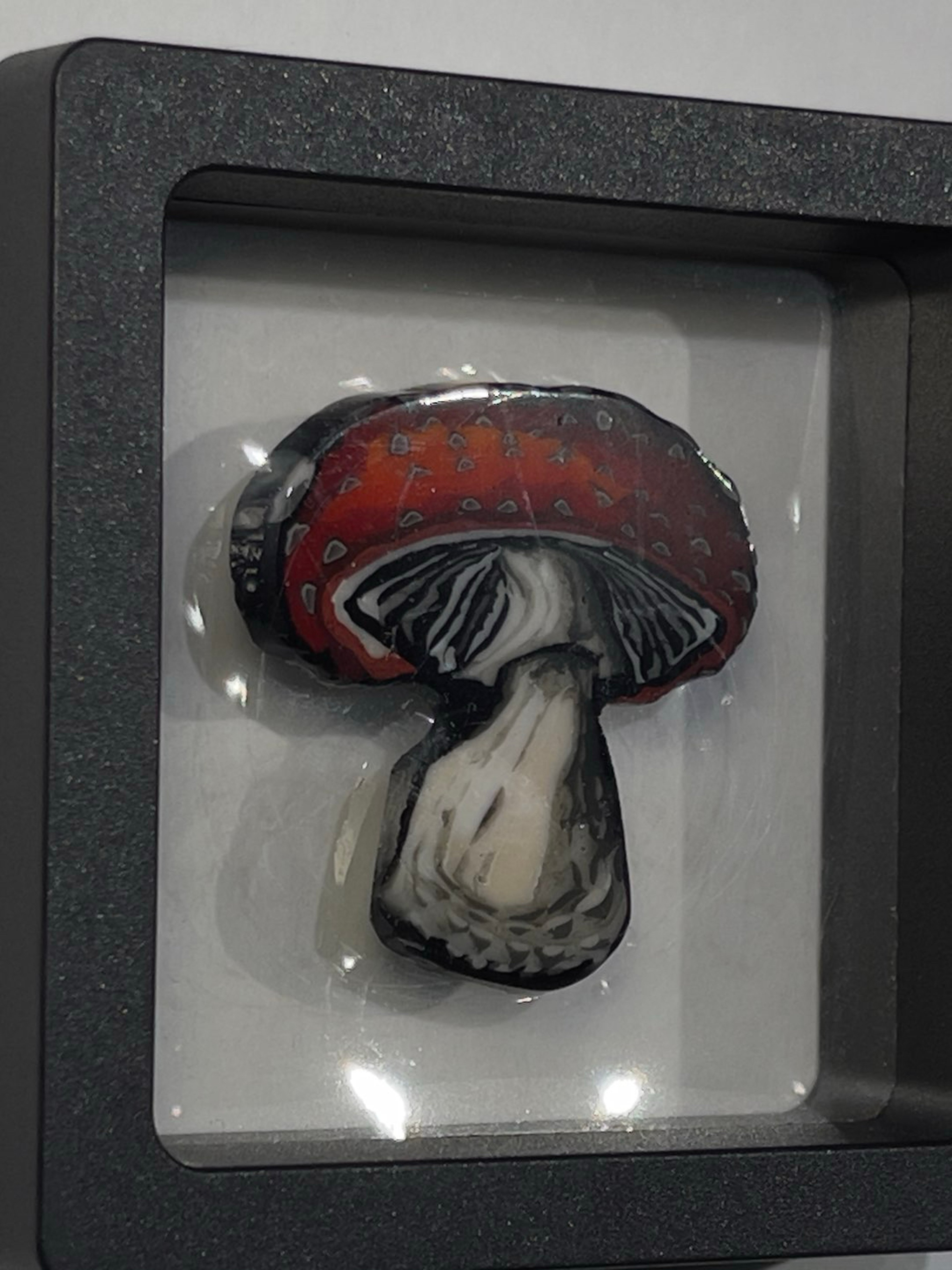 Preview pic of Mushroom Murrine