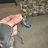 Small image 4