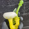 Small image 4