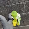 Small image 2