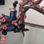 Small image 8