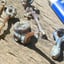 Small image 5