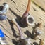 Small image 9