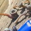 Small image 8