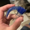 Small image 6