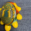 Small image 8