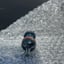 Small image 6
