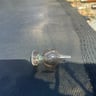 Small image 6