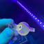 Small image 5