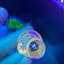 Small image 6