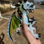 Small image 4