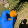 Small image 6