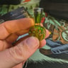 Small image 2