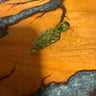 Small image 1