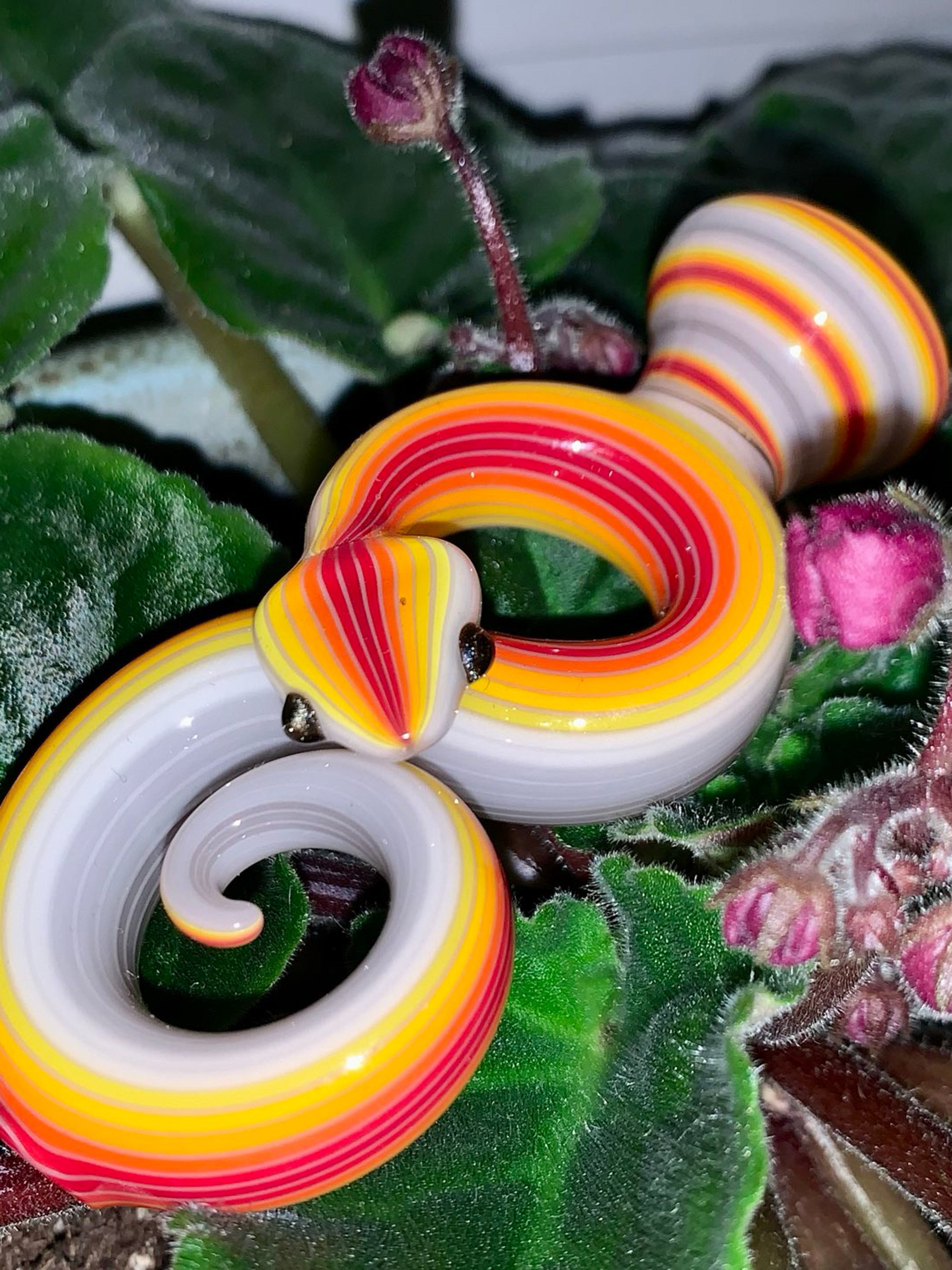 Preview pic of Niko Cray Snake Chillum