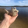 Small image 3